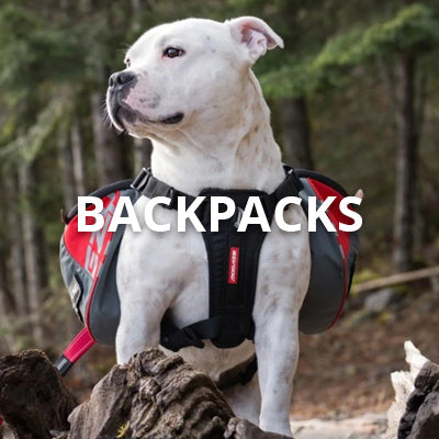 Backpacks