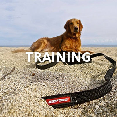Training
