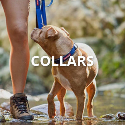 Collars