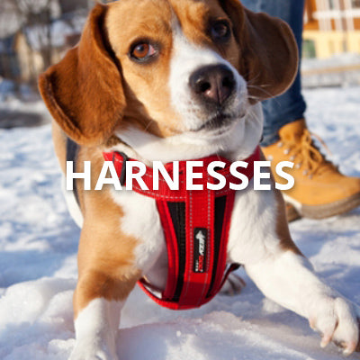 Harnesses