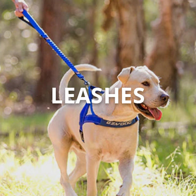 Leashes
