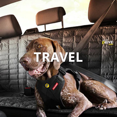Travel