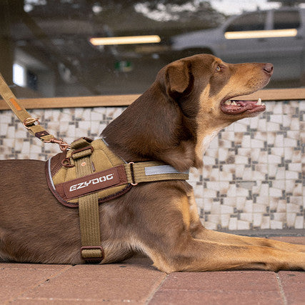 Corduroy