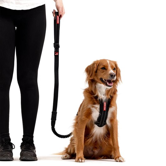 Zero Shock Leash - Black Denim