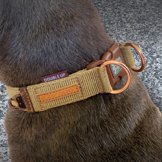 Double Up Collar - Corduroy Collection