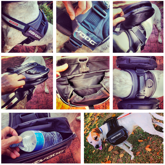 Convert Saddle Bags