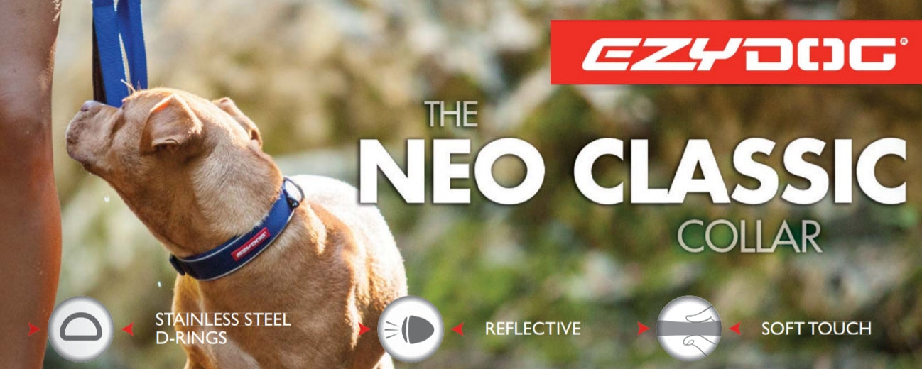 Neo Classic Collar