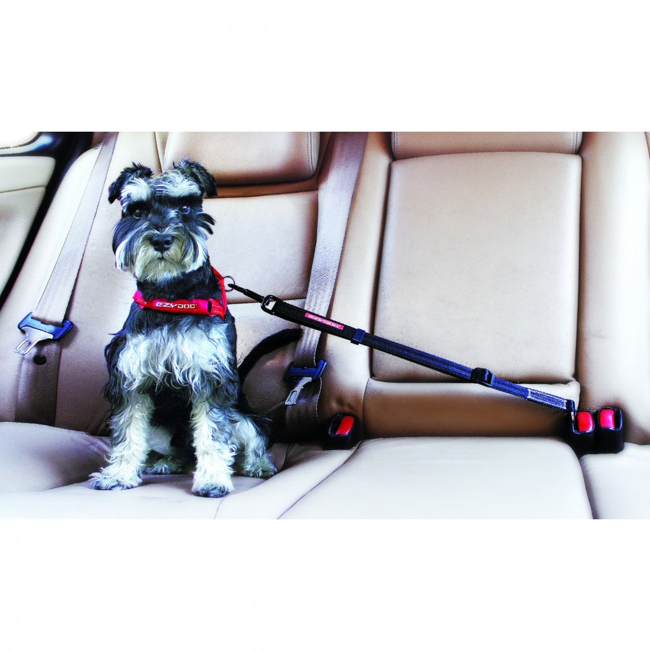 'Click' Adjustable Car Restraint