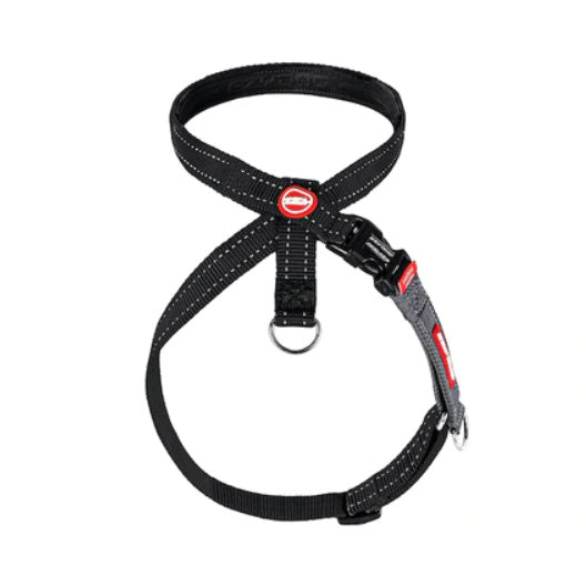 Crosscheck Harness